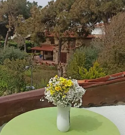 Tas Motel